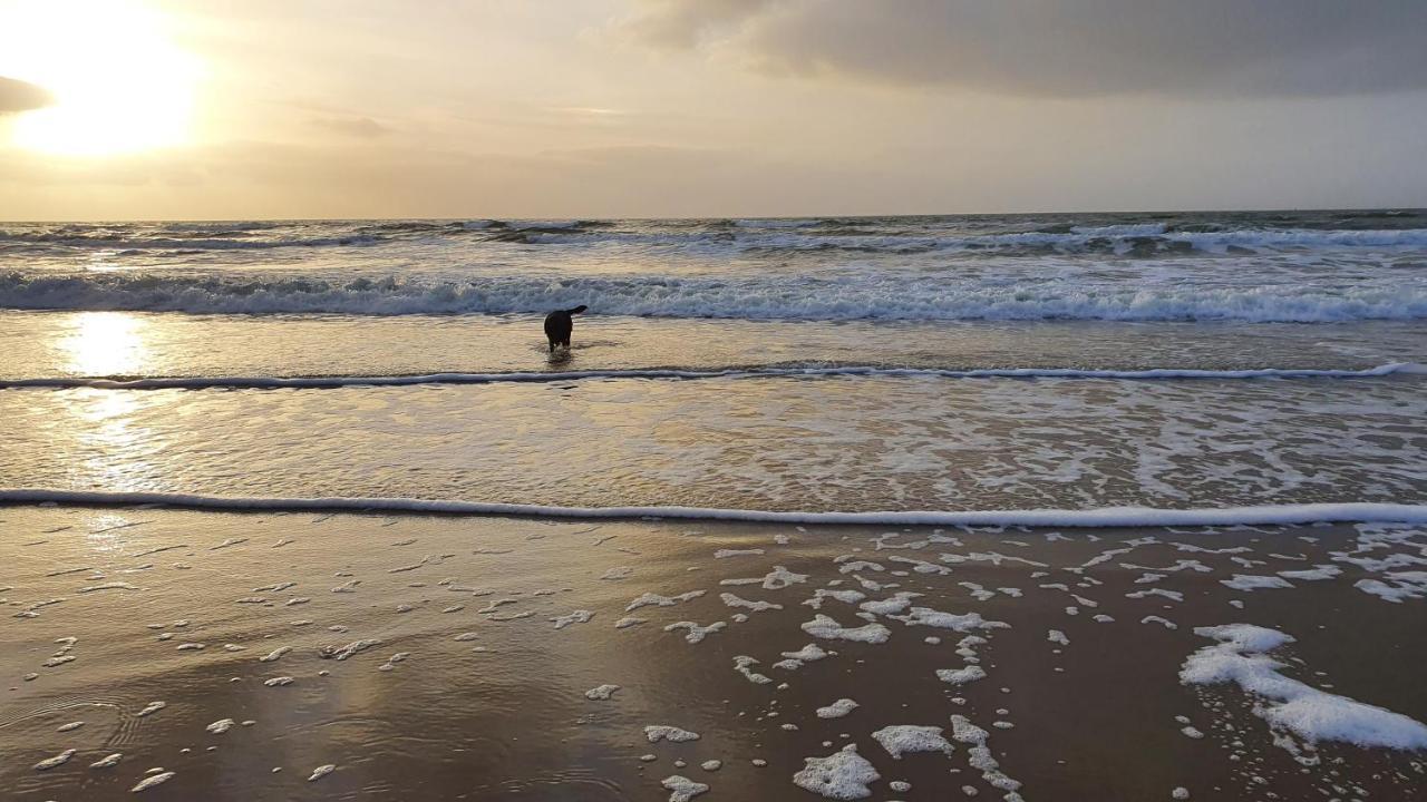 Luxe Zomerwoning Met Omheinde Tuin Voor Hond En Kinderen Dirkshorn Luaran gambar