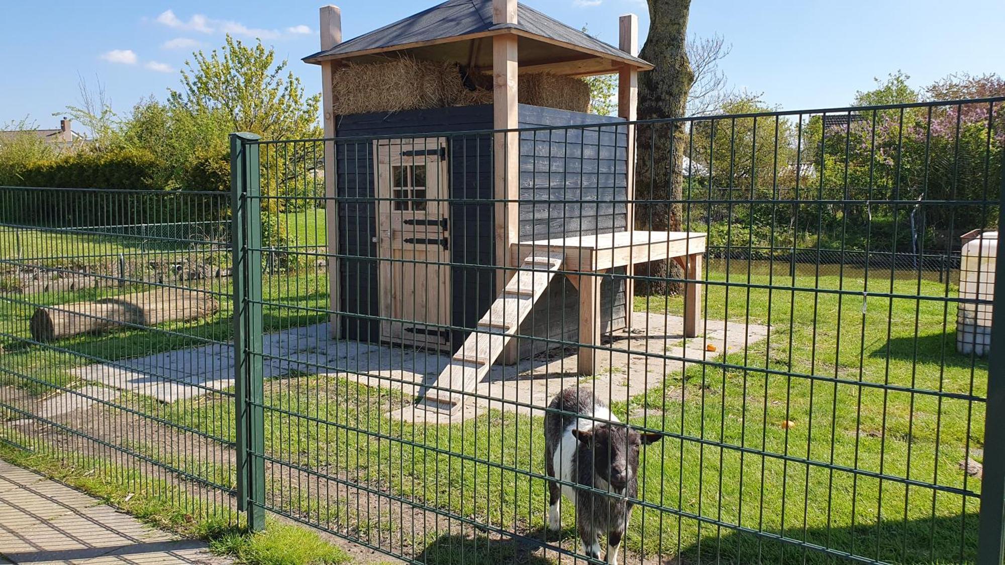 Luxe Zomerwoning Met Omheinde Tuin Voor Hond En Kinderen Dirkshorn Luaran gambar