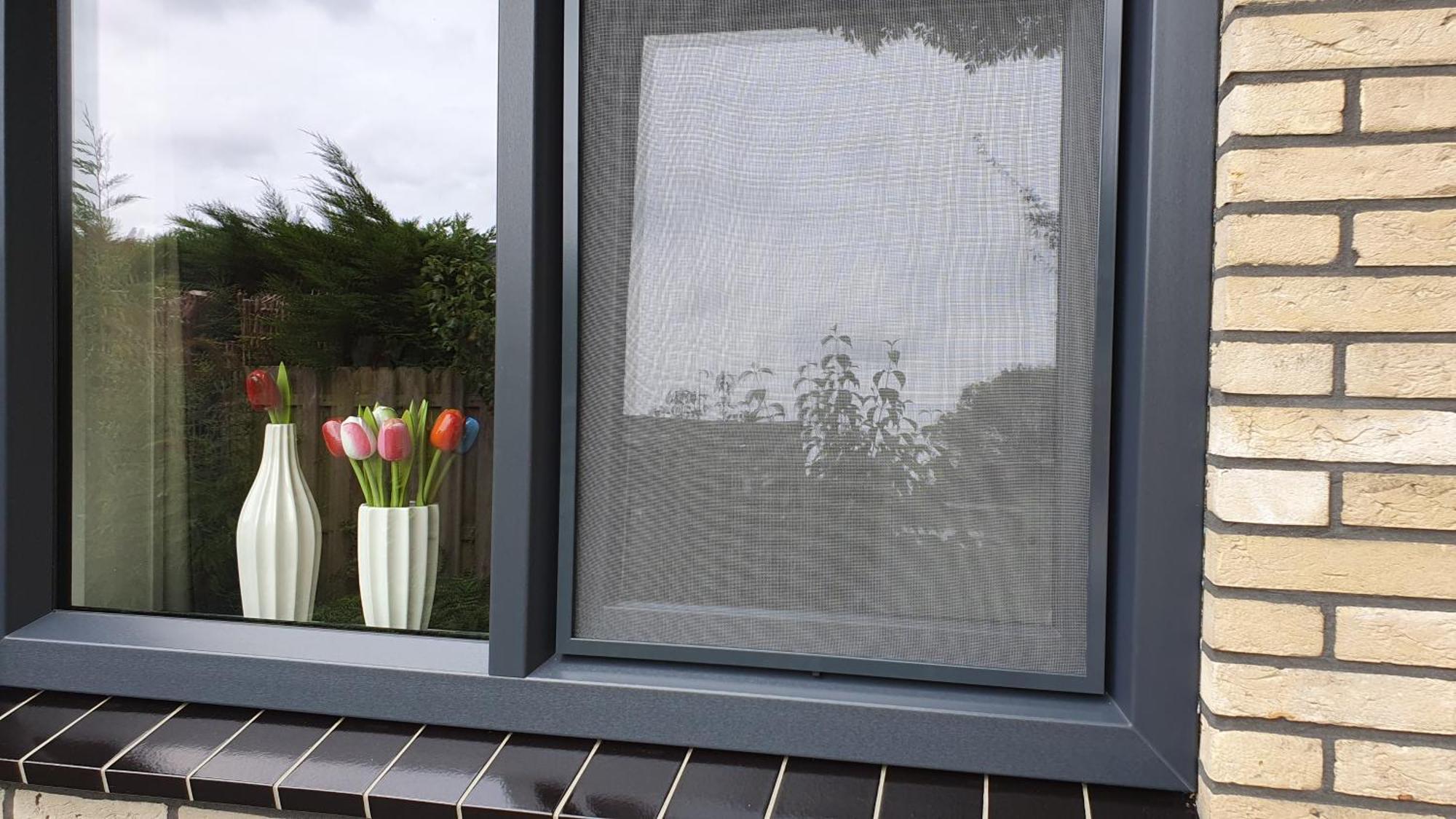 Luxe Zomerwoning Met Omheinde Tuin Voor Hond En Kinderen Dirkshorn Luaran gambar